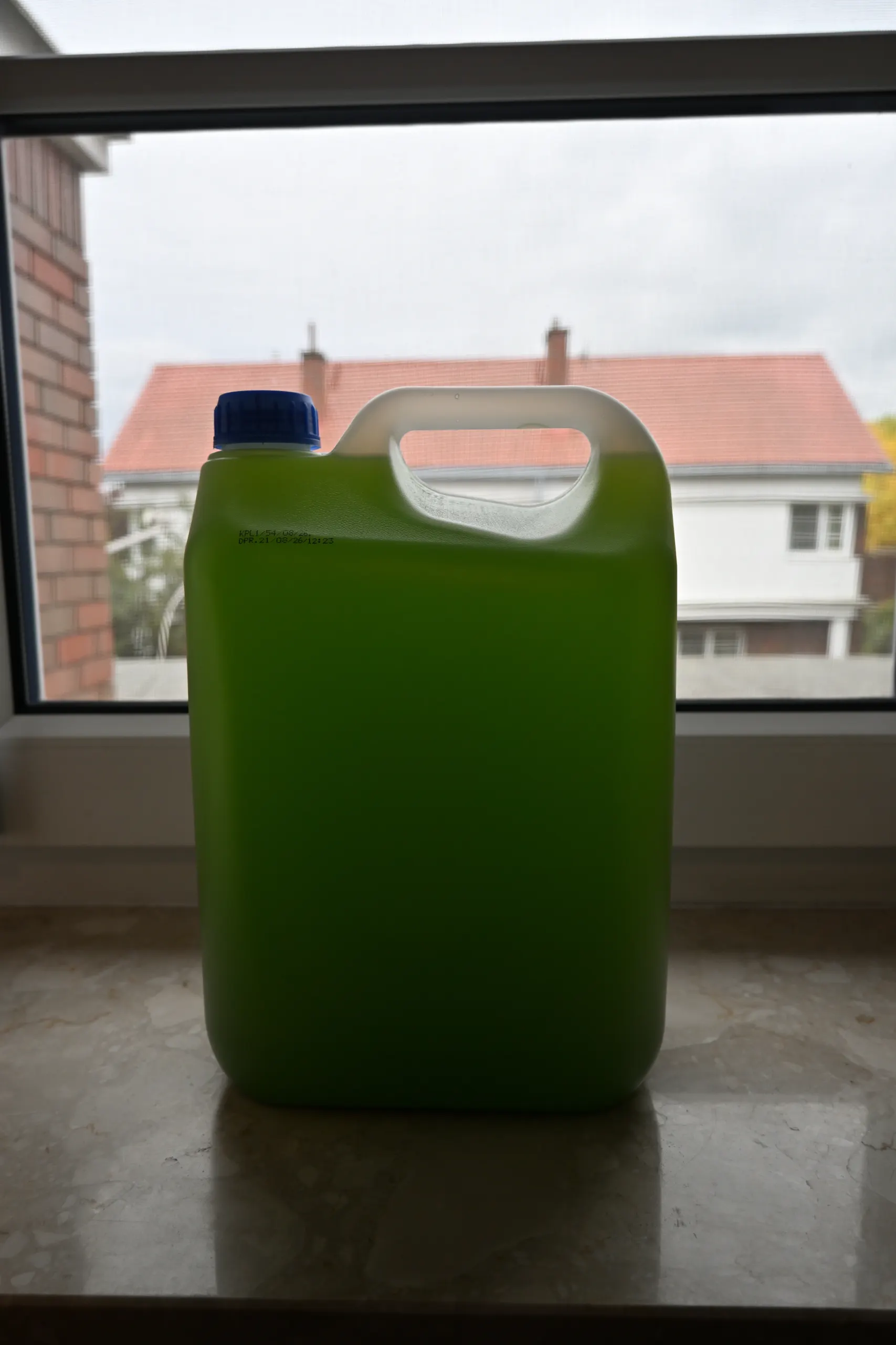 5 litre container of live Chlorella vulgaris culture on a windowsill
