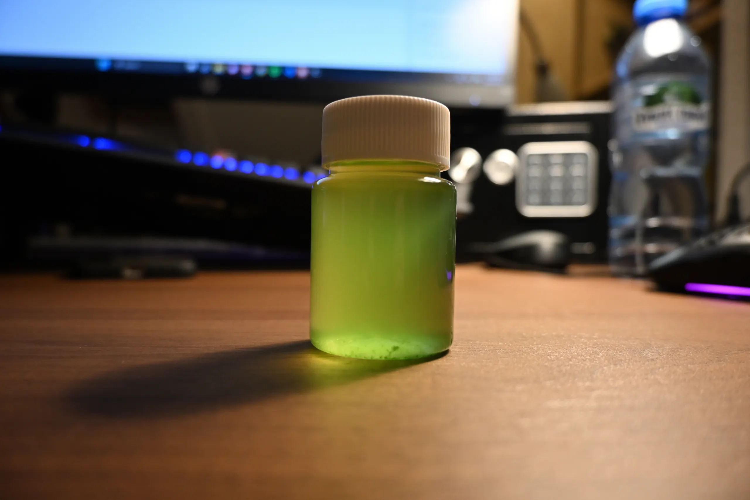 Small sample jar of live Chlorella vulgaris culture