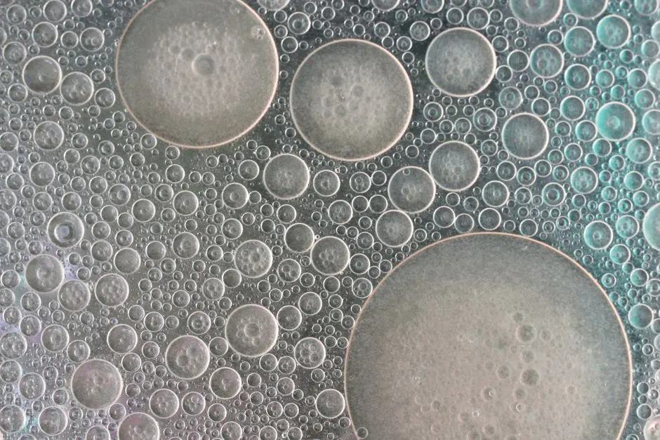 Why Microalgae Are So Small and Why That Matters